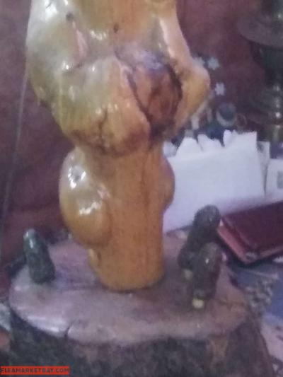 8 Piont European swamp buck - Thumbnail 2