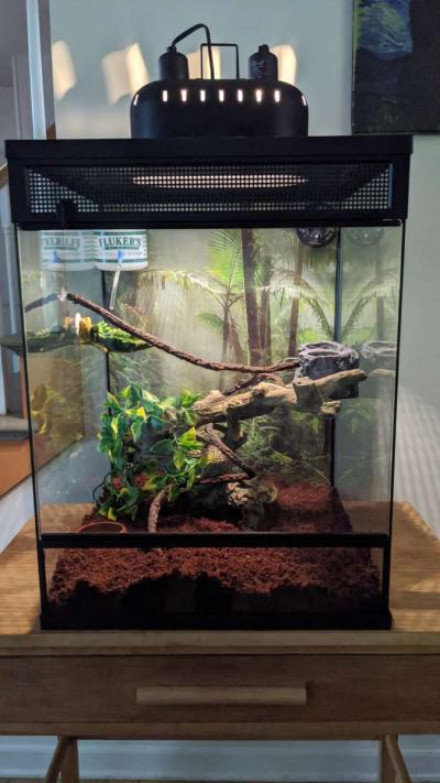 Vertical Reptile Terrarium - Thumbnail 3