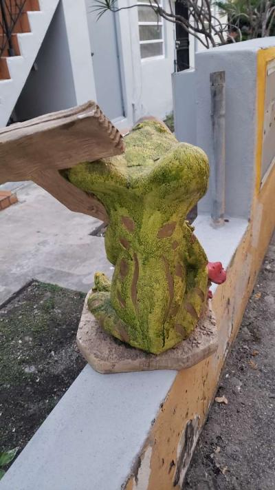 El sapo de yeso - Thumbnail 3