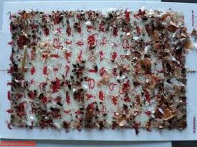 pest n termite services - Thumbnail 2