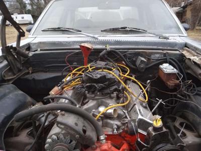 1976 Nova SS - Thumbnail 3