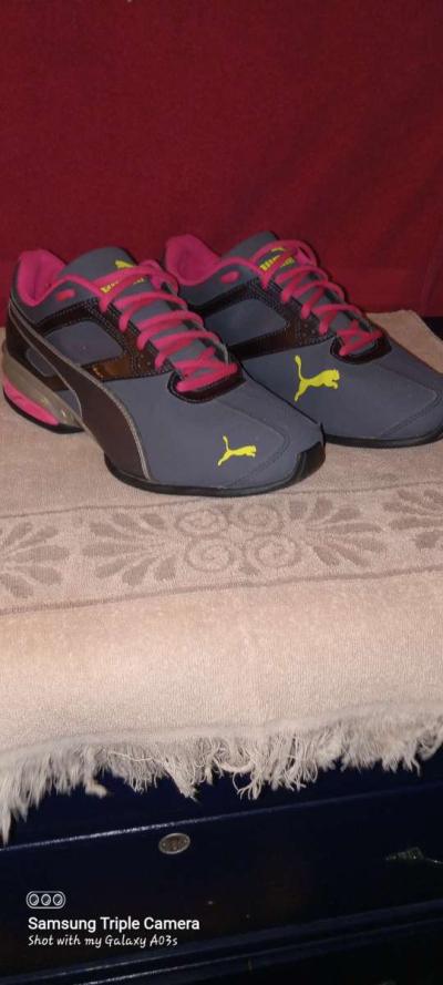 size 10 womans pumas - Pekin, Illinois