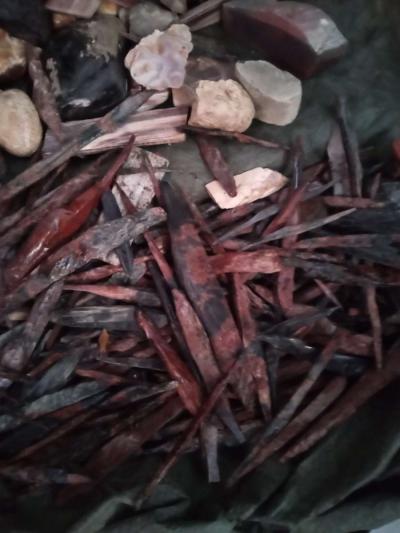 petrified opalized and agatized wood from all over the world - Thumbnail 4