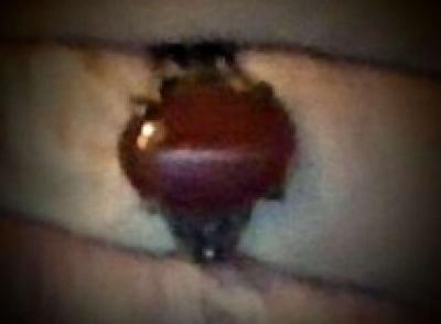 Fashion Rings - Thumbnail 1