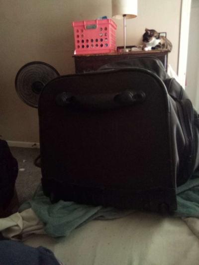 Huge black luggage - Thumbnail 3