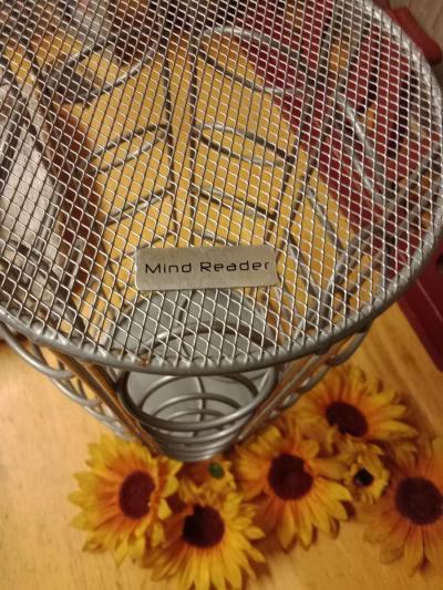 mind reader 35 pod holder carousel - Huntington, Texas