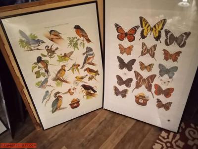 vintage prints and posters - Thumbnail 2