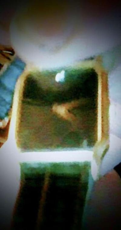 Womans watch with dimond accent