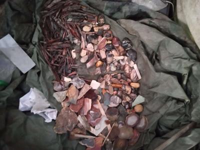 petrified opalized and agatized wood from all over the world - Thumbnail 2