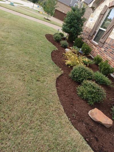 lawn care - Thumbnail 2