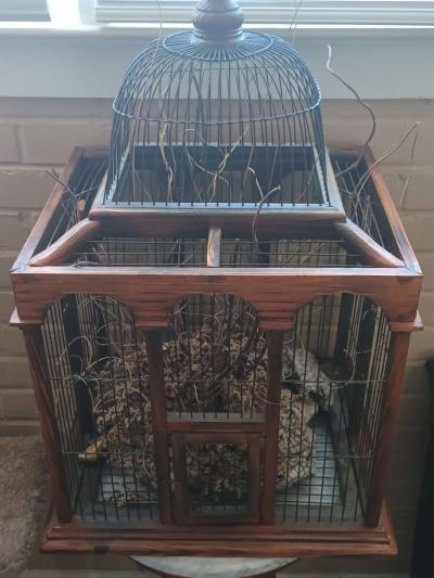 bird cages for sale - Thumbnail 2