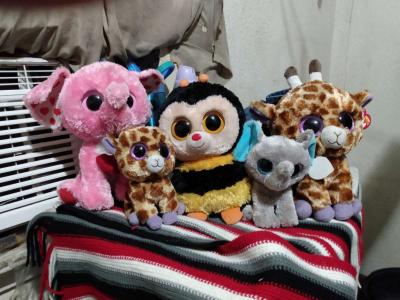 bears for sell nice very good condition and like new - Thumbnail 2