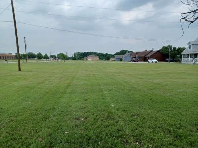 LAWN CARE - Thumbnail 3