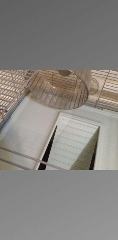 hamster cage - Thumbnail 3