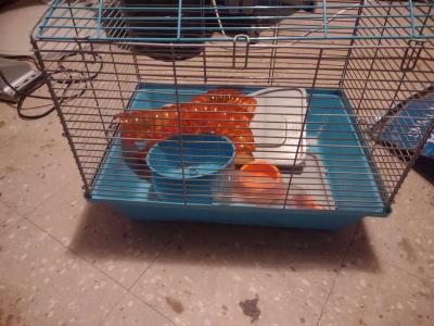 hamster cage - Thumbnail 2
