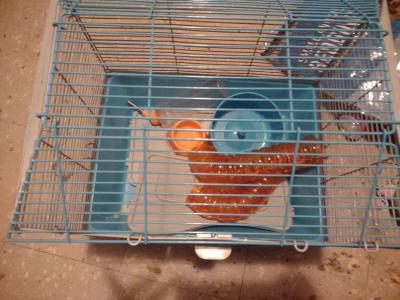 hamster cage - Thumbnail 4