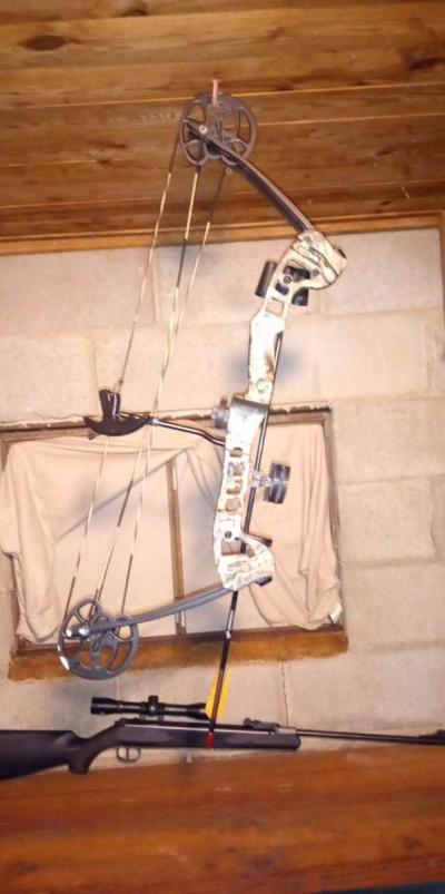Barnett compound bow