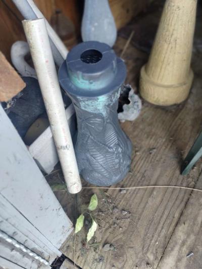 Bird Bath - Thumbnail 2