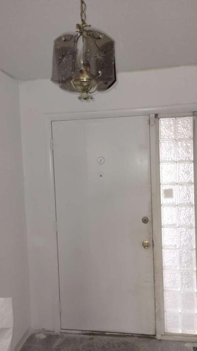 Hanging Lamp - Thumbnail 2