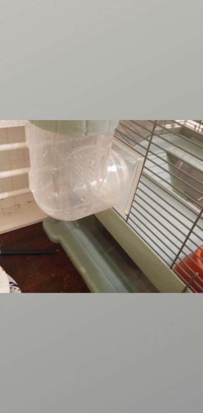 hamster cage - Thumbnail 4