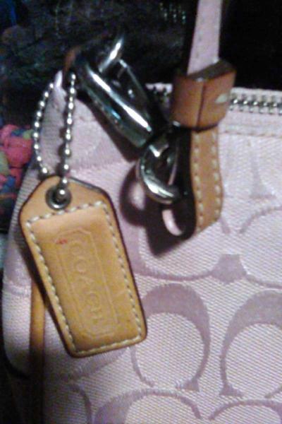 Coach carrying bag - Thumbnail 3