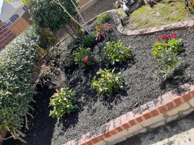 lawn services - Thumbnail 2