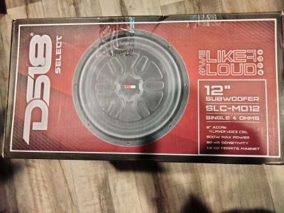DS18 12 INCH SUBWOOFER - Commerce, Georgia