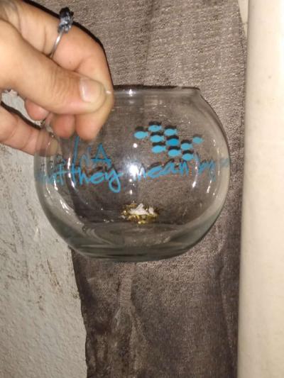 fish bowl mini - Thumbnail 2