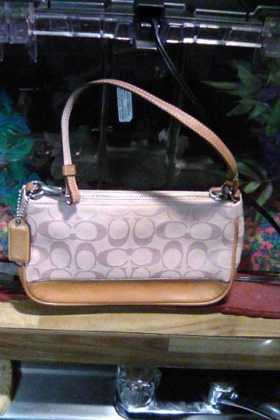 Coach carrying bag - Thumbnail 2