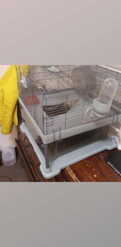hamster cage - Thumbnail 2