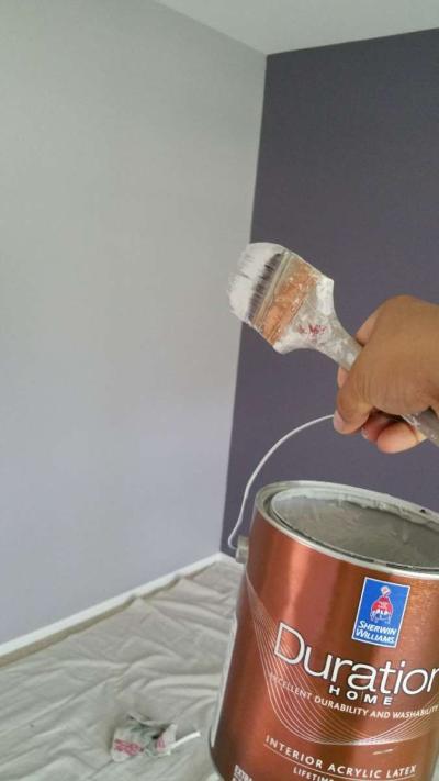 painter painting services - Thumbnail 3