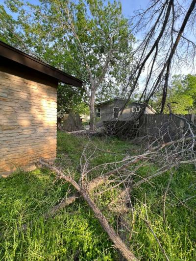 gardening and grass cutting - Thumbnail 3