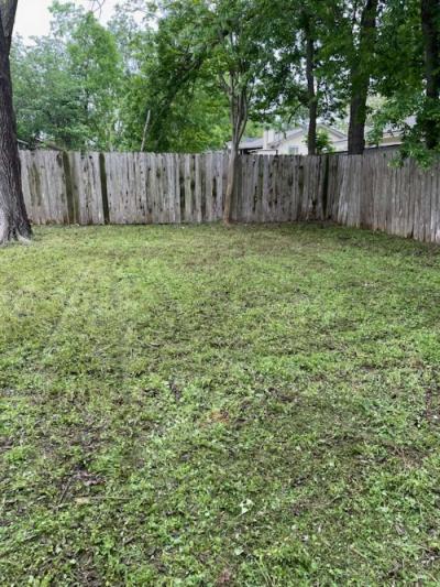 gardening and grass cutting - Thumbnail 5