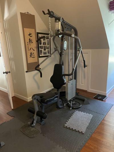 Precor S315 Inhome Gym System