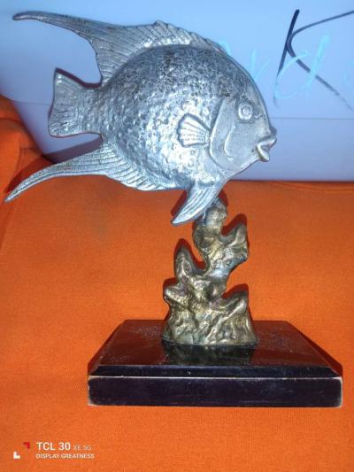 house decor - Tampa, Florida