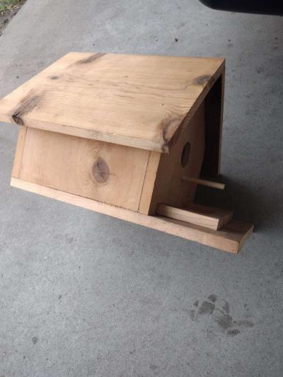 bird house