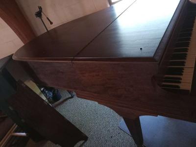 Baby Grand Piano - Thumbnail 2