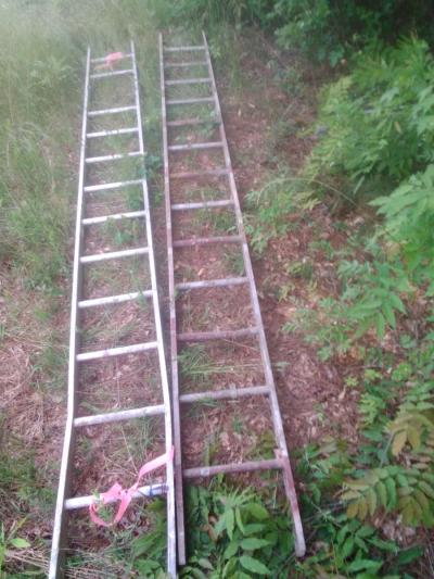 2 15 ft 1 11foot extension ladders - Thumbnail 2