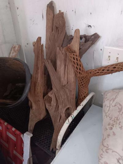 driftwood - Thumbnail 4