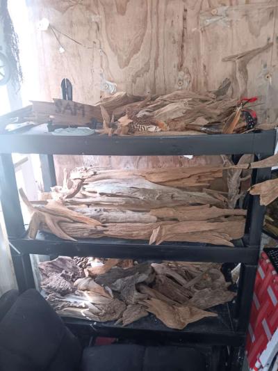 driftwood - Thumbnail 3