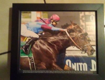 set of 6 2016 Santa Anita horse race photos - Thumbnail 6