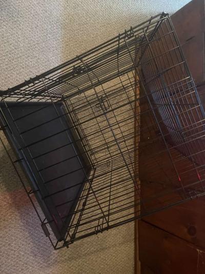 medium size doggie crate double door - Thumbnail 2