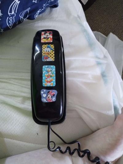 house phone - Thumbnail 2