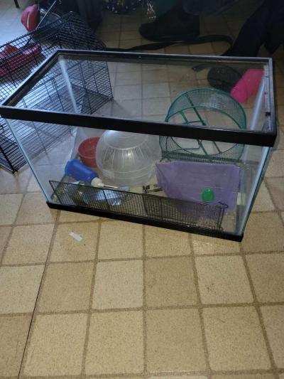 25 gallon tank and topper and other hamster items - Thumbnail 4