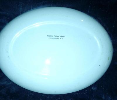 A Thanksgiving platter with a Turkey on it - Thumbnail 2