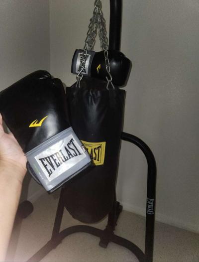 Everlast Punching Bag and Boxing Gloves