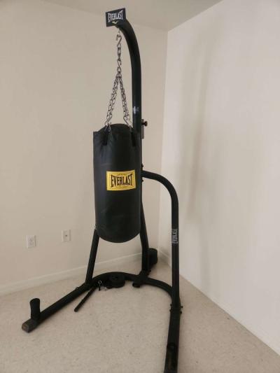 Everlast Punching Bag and Boxing Gloves - Thumbnail 2