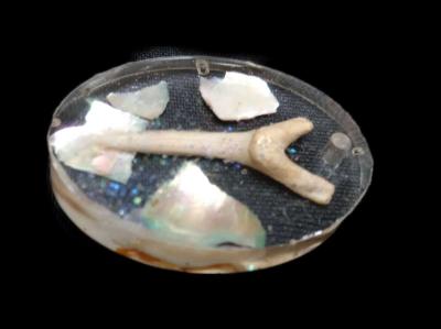 Chose One Key Chain or Pendant Fossilized SharksTooth - Thumbnail 3