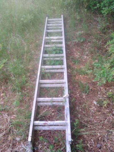 2 15 ft 1 11foot extension ladders - Colonial Heights, Virginia
