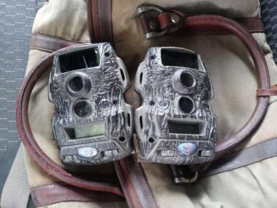 deer cameras game trail cameras - Thumbnail 2